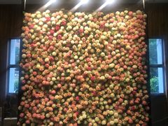 -百好乐宠物友好餐厅(朝外大街店)