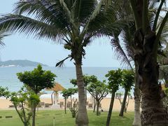 -瑰丽酒店·海吧·天际下午茶·现场DJ·天台酒吧