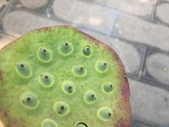 -张关合渣(航空大道店)