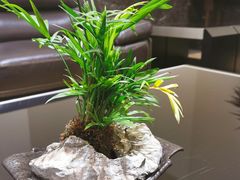 -天目湖御水温泉·度假酒店