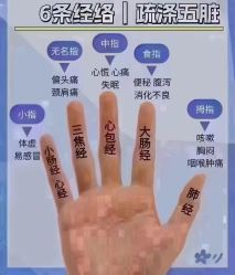 -香薇妮丝·定制减肥·身材管理