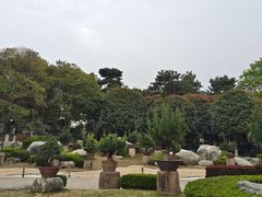 -中国唐苑