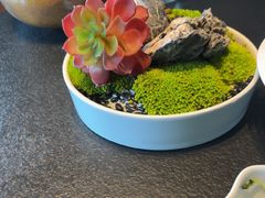 -三利音·浦之舟(滨江大道店)