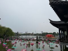 -中国翰园碑林