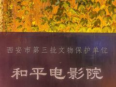 -和平电影院