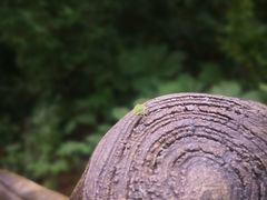 -洛阳白云山景区