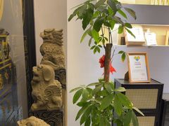 -金蚁康•经络调理•肩颈按摩(万达金街店)