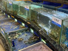 -欢乐海岸美食联盟