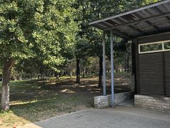 -长白岛森林公园