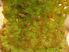 韭菜煎粑粑-芭夯兔·无骨兔汤锅(华阳店)