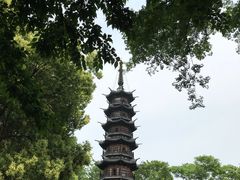 -上海佘山国家森林公园西佘山园