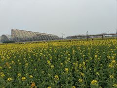 -中国天府农业博览园