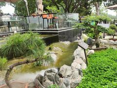-蘇河湾·新鲁菜·泰山宴(泰山店)