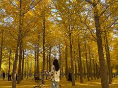 -田村(地铁站)