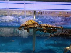 -沃尔玛超市(人民广场店)