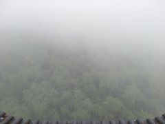 -蔡伦竹海