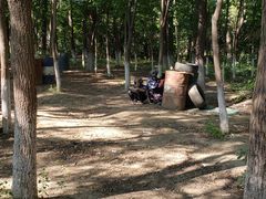 -亲兄弟真人CS团建拓展基地
