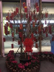 -安利上海体验馆