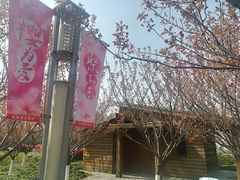 -高东镇樱花园