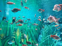 -上海海洋水族馆