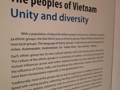 -越南民族学博物馆