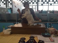 -东浩兰生上海世博展览馆