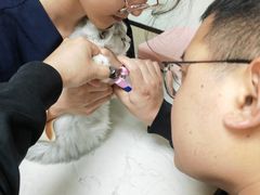 -格蕾宠物医院24H·猫科·肿瘤科·骨科中心(福州总院)