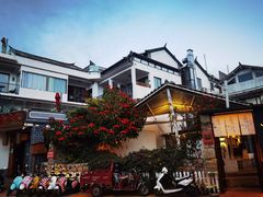 -大理老字号·舟渔的鱼野生菌海景餐厅(双廊店)