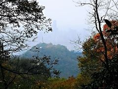 -紫金山天文台