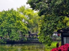 -荔湾湖公园