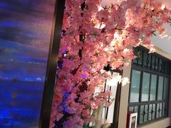 -野妹火锅(龙岗店)