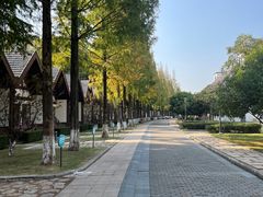 -太阳岛度假酒店