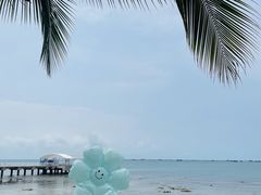 -三亚西岛海洋文化旅游区