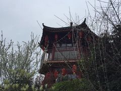 -伴山茶苑·围炉煮茶