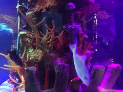 -沈阳海洋探索中心