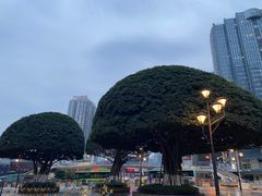 -观音桥步行街