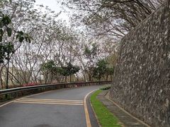 -小南山公园