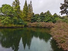 -上海滨江森林公园