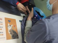 -伟伟宠物医院·瑞派猫友好医院·猫科(光谷店)