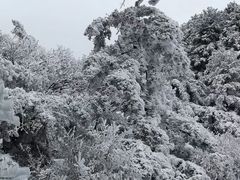 -尧山风景区