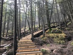 -芦芽山旅游度假区