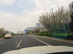-皇家御河游(紫御湾码头)