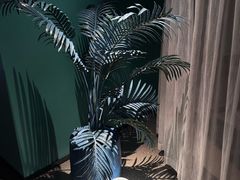 -漫·汤泉