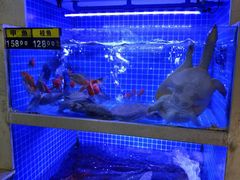-大海湾酒楼(人南店)