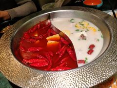 -麻田会 ·牛蛙火锅(珠江新城维家思广场店)