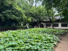 -绍兴鲁迅故里·沈园景区