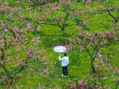 -云和湖仙宫景区