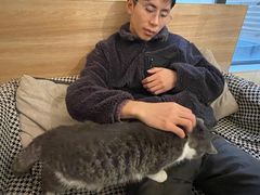 -滚猫咖啡·猫咖·猫友好撸猫(未来城店)
