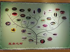-上海昆虫博物馆