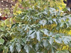 -热火朝天鲜切牛肉火锅(南强街巷店)